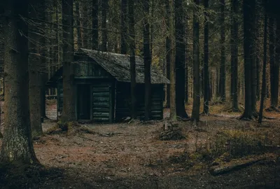 Фотографии хижины в разных ракурсах: бесплатное скачивание