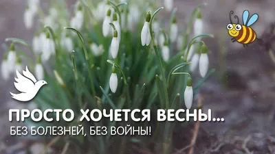 Фото весны: выберите размер и формат для скачивания (JPG, PNG, WebP)