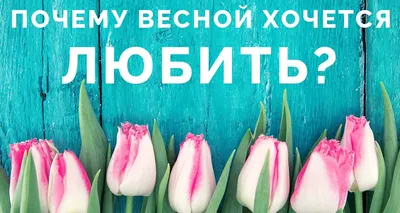 Весенние птицы: фотографии, запечатлевшие пение и полет птиц весной