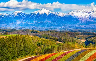 Изображения Хоккайдо: лучшие снимки