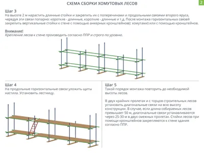 Лесные уголки Хомутов: Красота природы в каждом кадре