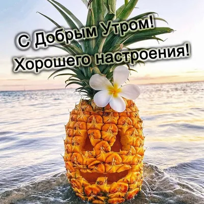 Великолепные фото Хорошего дня с морем