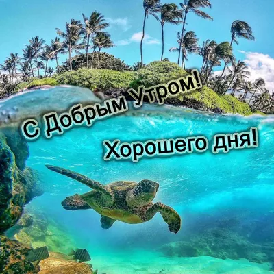 Приключения Хорошего дня на фотографиях с морем