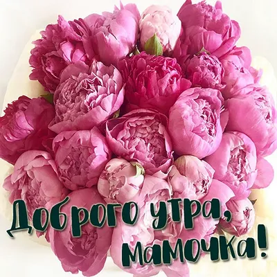 HD фото Хорошего дня мамочка в формате png