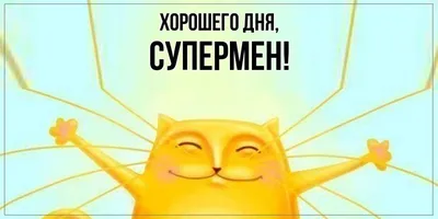 Смешные картинки для хорошего настроения всегда!