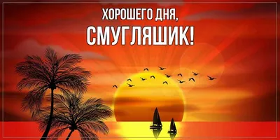 Новые фото для хорошего настроения