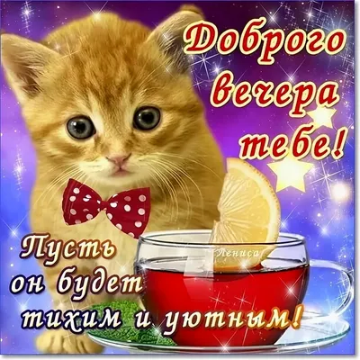 Красивые картинки вечернего пейзажа для скачивания в HD качестве