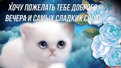 Вечер в объективе: захватывающие фотографии, запечатлевшие магию вечера.