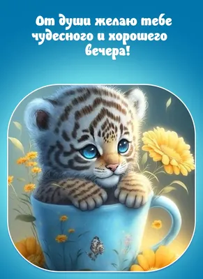 Скачать бесплатно качественные фото вечернего неба