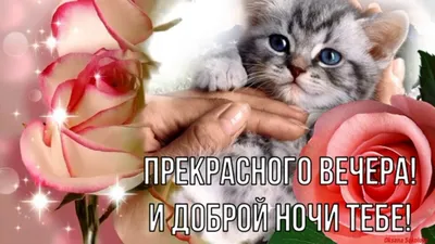 Вечерние фотооттенки: фотографии, передающие оттенки и настроение вечернего времени суток.