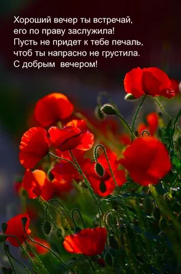 Вечерние фотопейзажи: красивые и живописные снимки вечернего природного пейзажа.