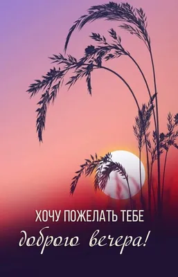 Фотографии заката с яркими цветами