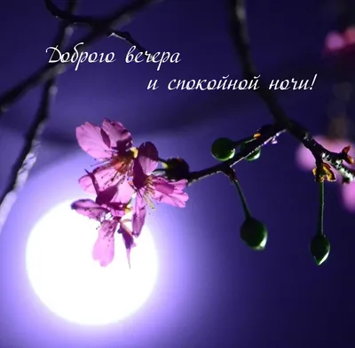 Уникальные изображения заката в городе