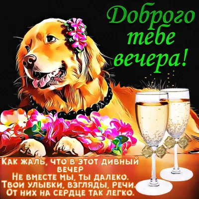 Восхитительные изображения заката с песчаным пляжем