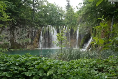 Волшебные моменты природы: фото Плитвицких озер и их красоты в Хорватии