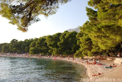 Фотографии пляжей Хорватии: волны, солнце и песок