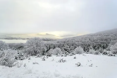 Загрузите красоту: Хорватия зимой в WebP формате