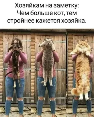 Хозяюшка картинки смешные: фото, чтобы улыбнуться