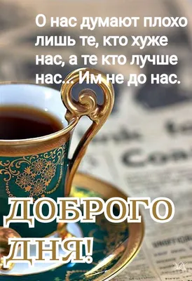 Новые изображения дня в формате JPG, PNG, WebP