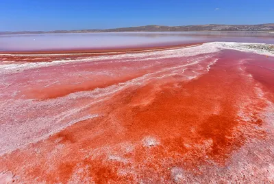 Хургада моря: пляжи, солнце и морские фото для вдохновения