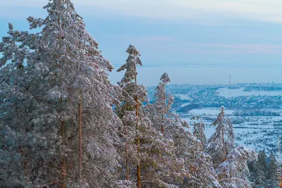 Зимний фотоэкспресс Хвалынска: Картинки для скачивания