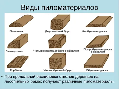 Природные шедевры: фотографии хвойных пород деревьев