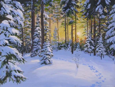 Хвойный лес зимой: Фотоальбом природы