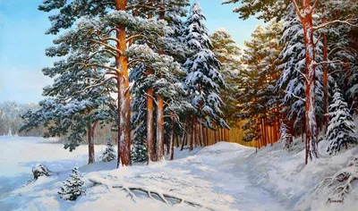 Зимний аромат хвойного леса: Красочные изображения