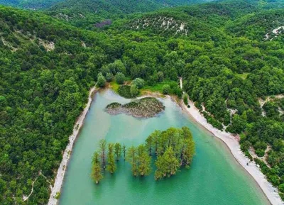 Фото Кипарисового озера Сукко в веб-формате WebP