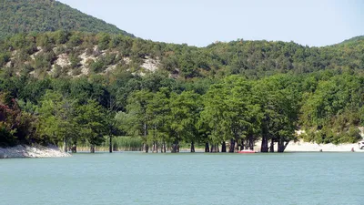 Кипарисовое озеро Сукко: красивые фото в PNG формате