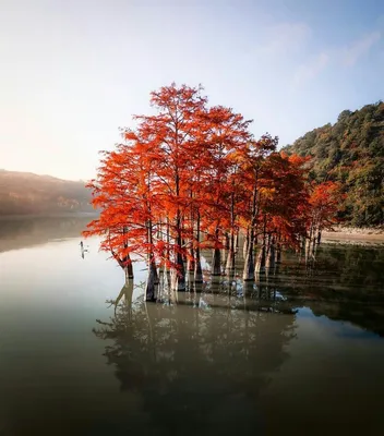 Новые фото Кипарисового озера Сукко: бесплатно и легко