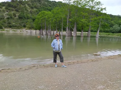 Фото фона с кипарисами на озере Сукко