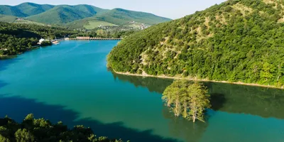 Уникальные изображения Кипарисового озера Сукко - лучшая фотография 2024 года!