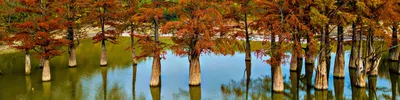 Уникальные изображения Кипарисового озера Сукко - Full HD качество!