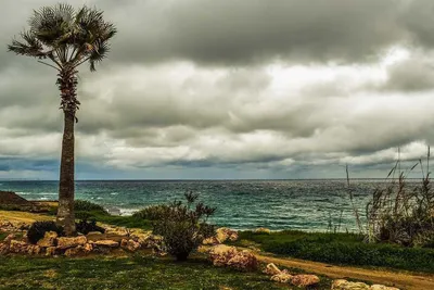 Зимний калейдоскоп: Фотографии Кипра для скачивания
