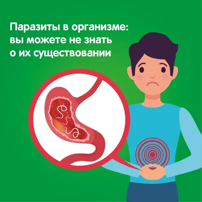 Разнообразие форматов: Фотографии кишечных паразитов
