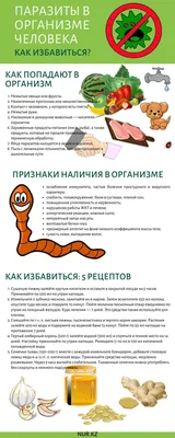 Выбор формата: Фотографии кишечных паразитов в JPG, PNG, WebP