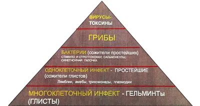 Форматы на выбор: Жизнь человеческих кишечных паразитов