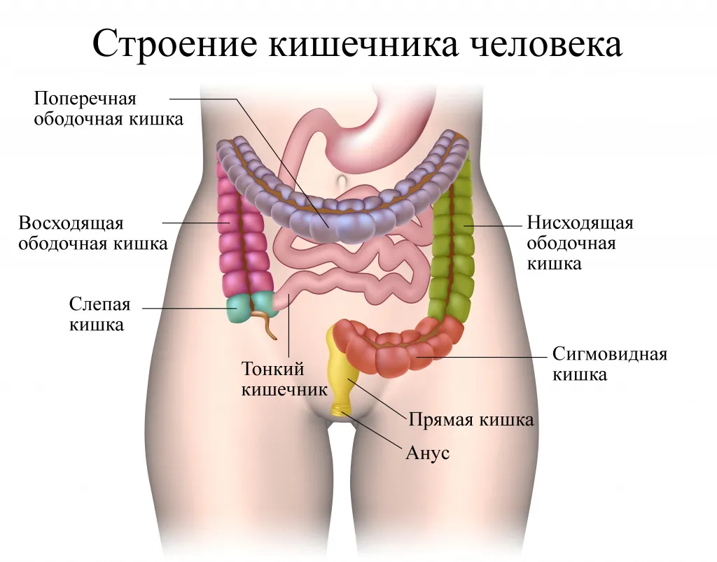 О размере члена | Пикабу