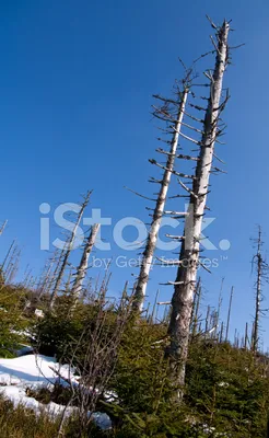 Фото кислотного дождя в HD качестве