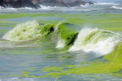 Фото Китайского желтого моря: выберите разрешение и формат загрузки