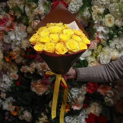 Фотография китайской розы с указанием размера изображения