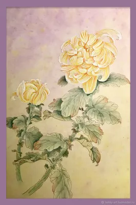 Фотография китайской розы на привлекательном фото