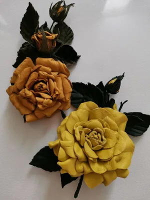 Желтая китайская роза на фотографии с возможностью выбора формата файлов