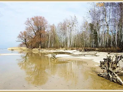 Отражение чарующих вод Київського моря в фотографиях