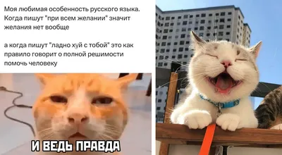 Фото, которые заставят вас улыбнуться!