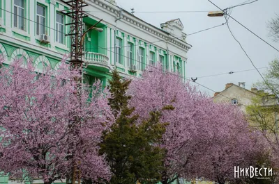 Весенние картинки, чтобы проникнуться красотой природы