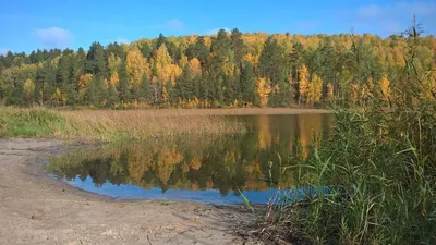 GIF изображения Кленовой горы: динамичные моменты в природе