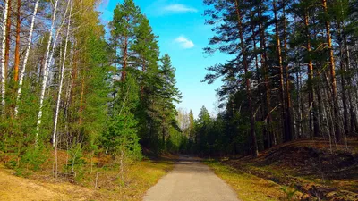 Величие природы: фотографии Кленовой горы, которые заставят вас замереть