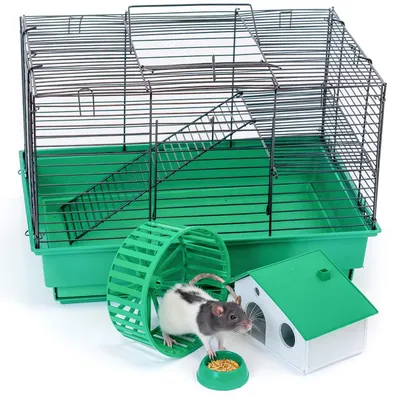 Клетки для крыс в различных размерах: фотографии и изображения для выбора наилучшего варианта